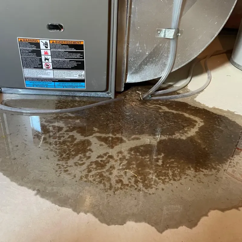 Appliance Leak Cleanup in Carl Junction, MO