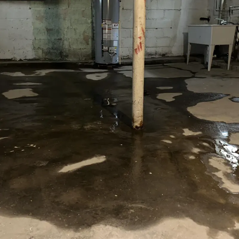 Emergency Water Extraction And Removal in Carl Junction, MO